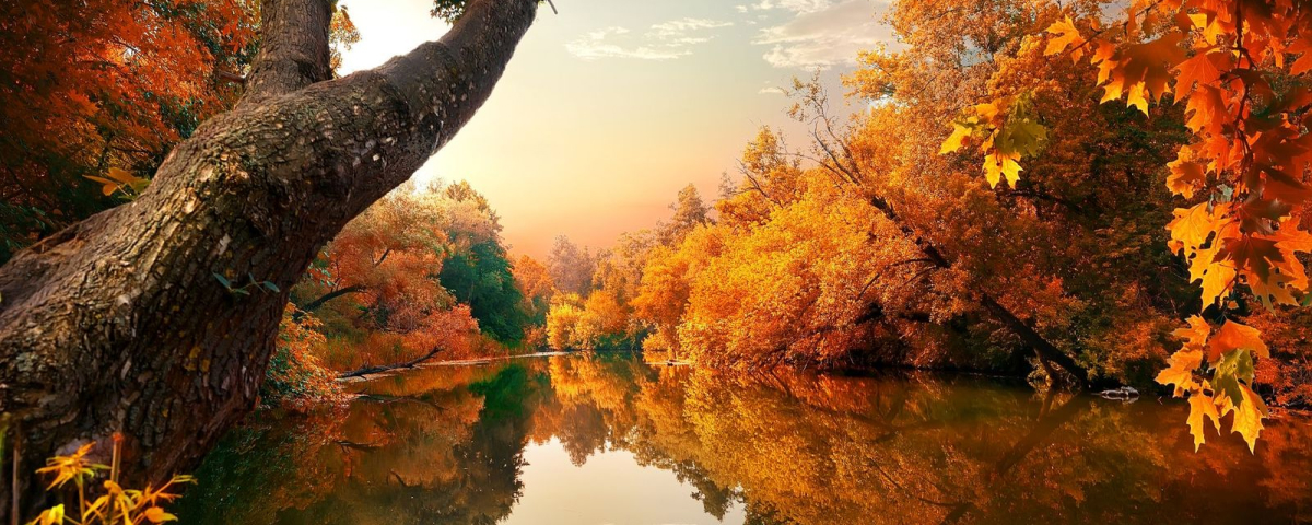 Orange autumn on river. Photo by Givaga | Adobe Stock