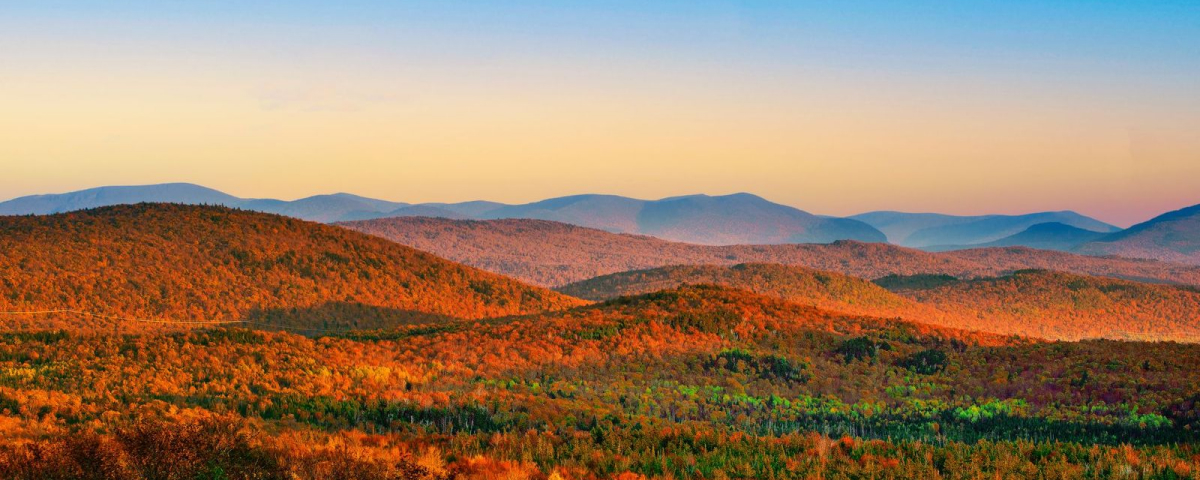 North Vermont fall foliage. Photo by Philip | Adobe Stock