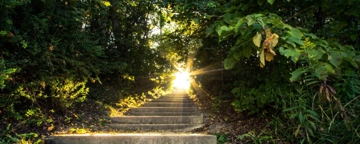 Light of Heaven. Sunlight streams down a stairway that travels up through a scenic forest. Image by ehrlif | stock.adobe.com